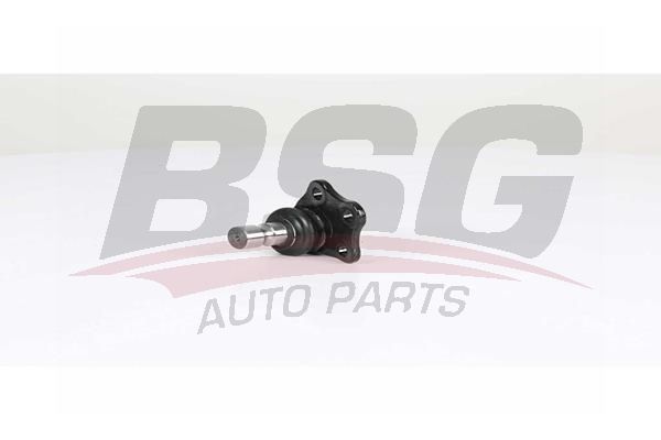 BSG 75310050 Rotil Alt