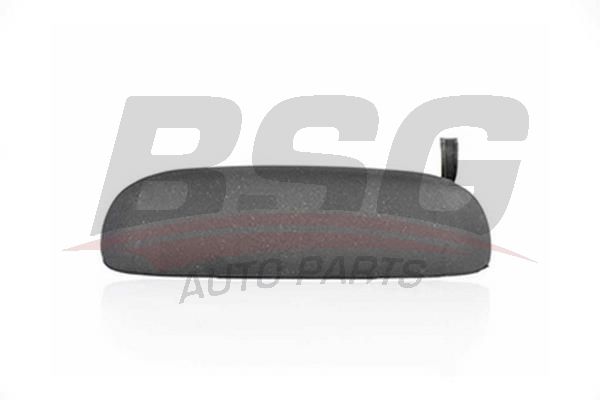 BSG 30970041 Kapı Dış Açma Kolu Sol