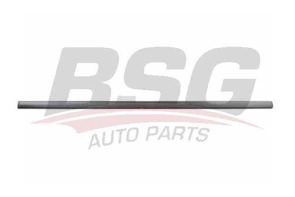 BSG 90924017 Kapı Bandı Ön Sol