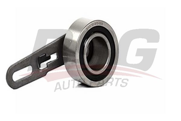 BSG 30615005 Eksantrik Gergi Rulmanı
