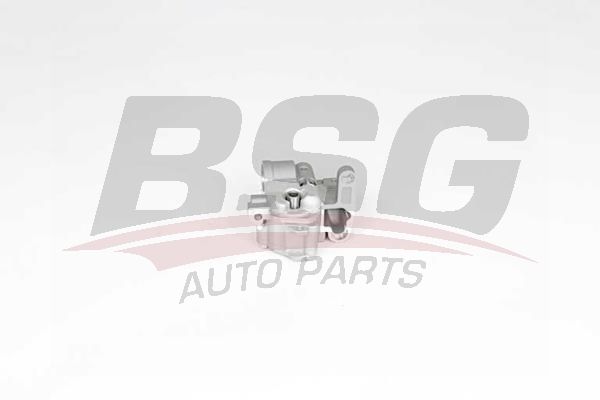 BSG 90101006 Yağ Pompası