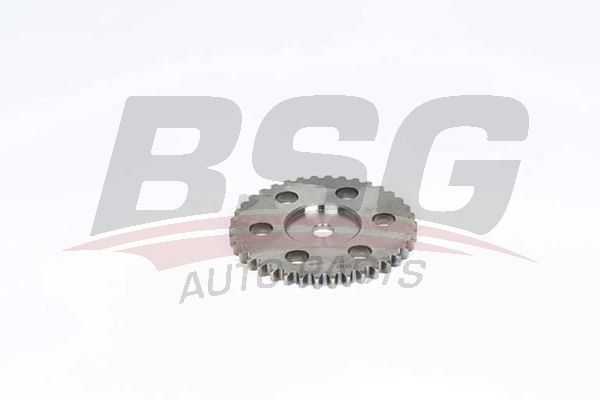 BSG 30109026 Eksantrik Dişlisi