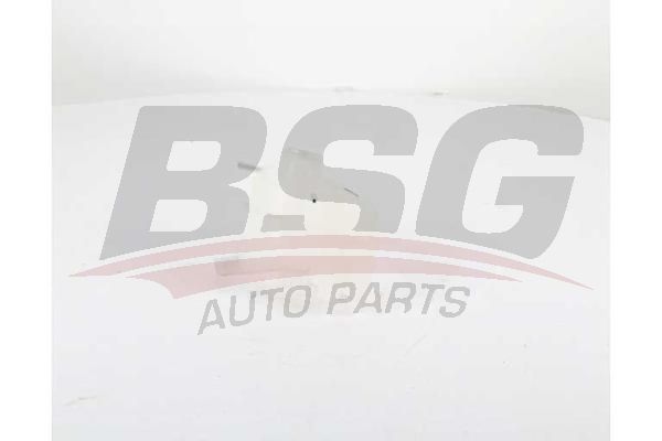 BSG 65550015 Radyatör Yedek Su Deposu