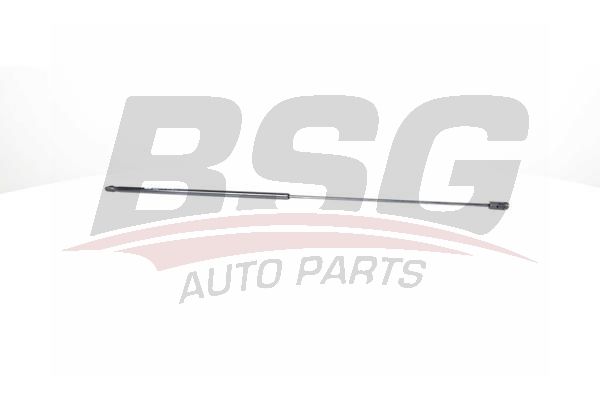 BSG 65980033 Motor Kaput Amortisörü