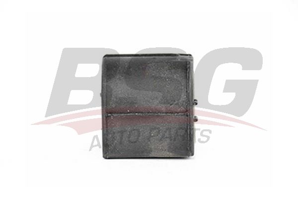 BSG 65700022 Viraj Demir Lastiği Ön - . Görsel