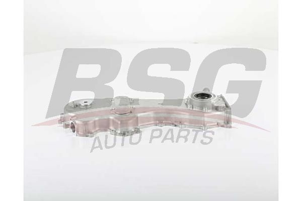 BSG 65101003 Yağ Pompası