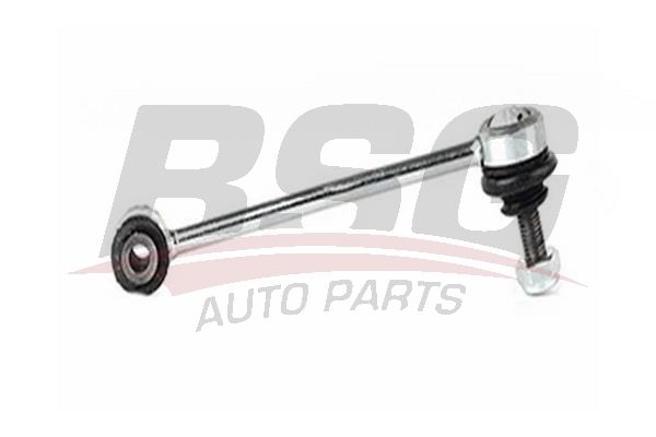 BSG 15310093 Viraj Askı Rotu Arka - . Görsel