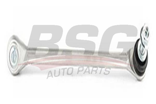 BSG 60310187 Viraj Askı Rotu Ön Sağ