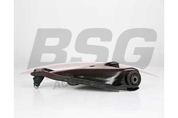 BSG 75315005 Salıncak Ön Sağ