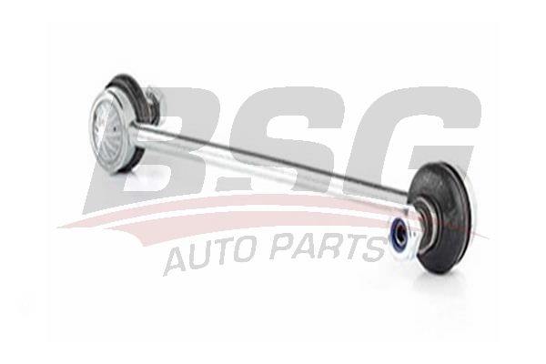 BSG 15310072 Viraj Askı Rotu Ön