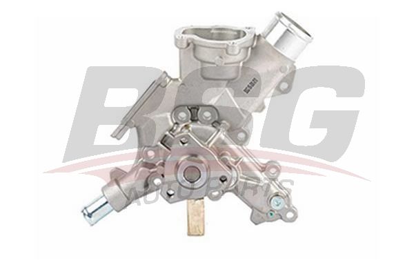 BSG 65500010 Devirdaim