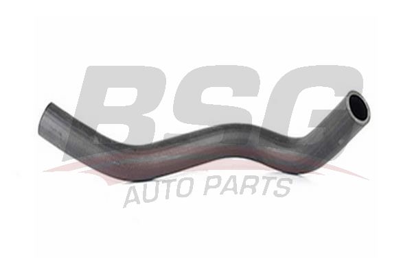 BSG 40720021 Radyatör Hortumu Alt - . Görsel