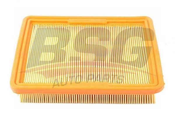 BSG 40135006 Hava Filtresi - . Görsel