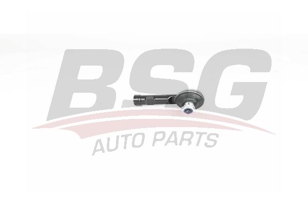 BSG 15310013 Rot Başı Sağ