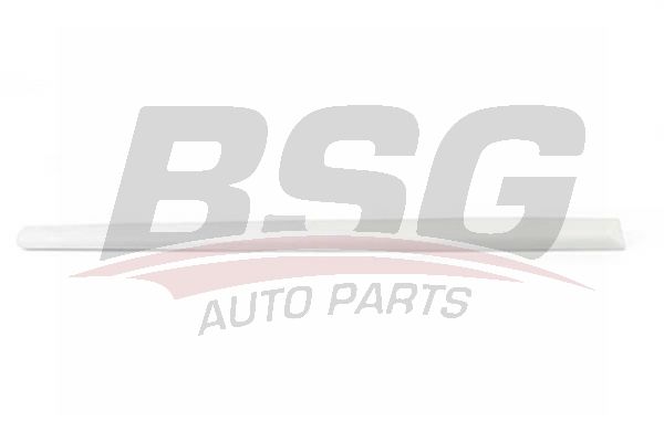 BSG 90924040 Kapı Bandı Arka Sağ