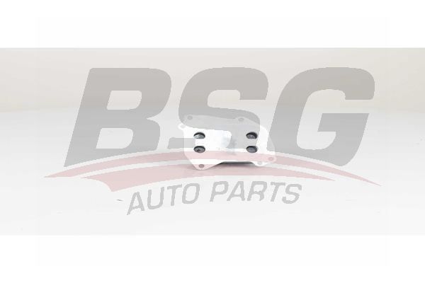 BSG 15506025 Yağ Radyatörü - . Görsel