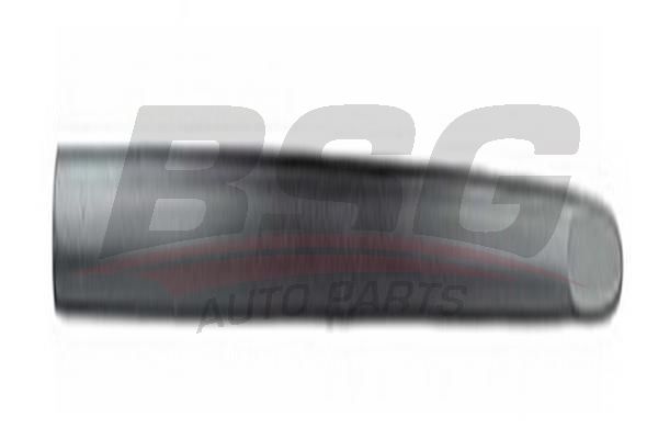 BSG 65924012 Kapı Bandı Ön Sağ