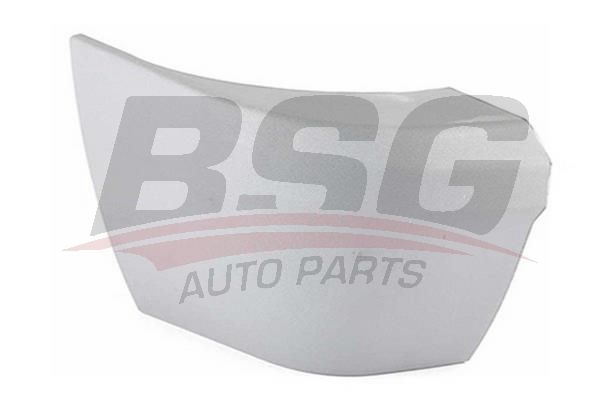 BSG 30920010 Tampon Kösesı Arka Sol