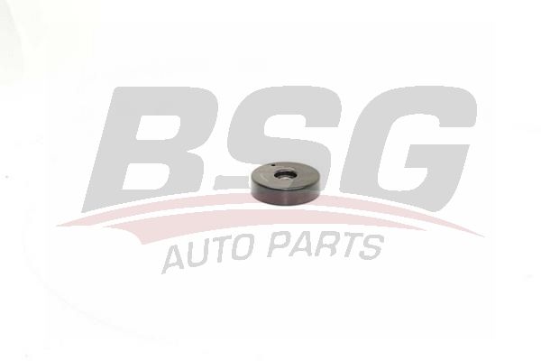 BSG 60615021 V Kayış Gergi Rulmanı