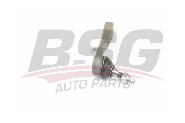 BSG 60310227 Rot Başı Sol