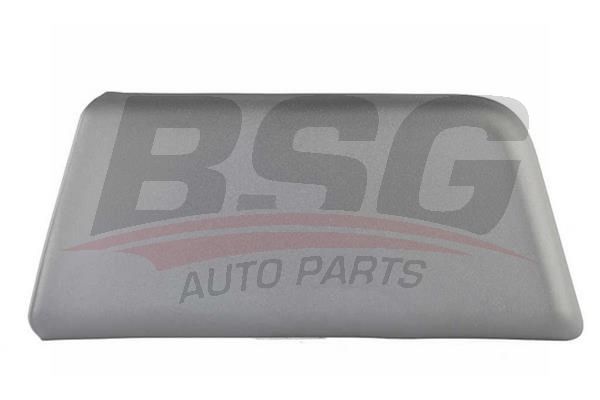 BSG 70975039 Kapı Bandı Ön