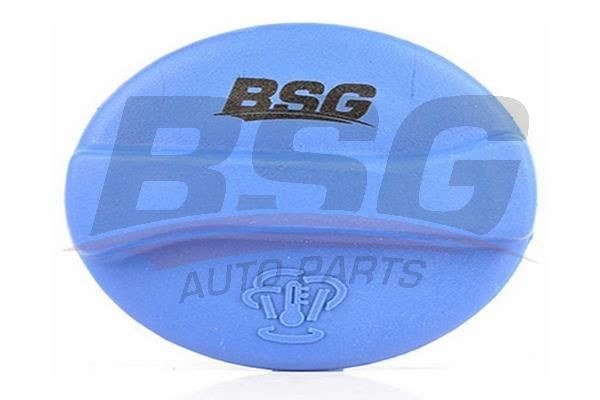 BSG 90551001 Radyatör Yedek Su Depo Kapağı