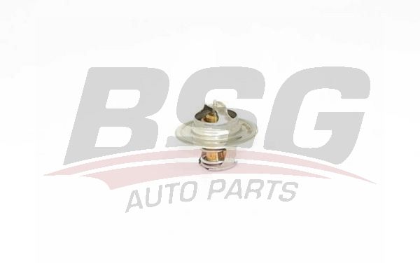 BSG 90125001 Termostat