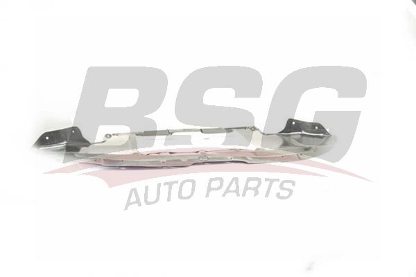 BSG 90922075 Karter Muhafazası