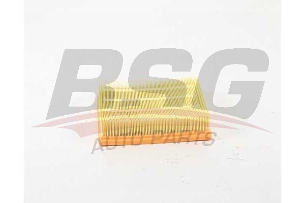 BSG 15135018 Hava Filtresi