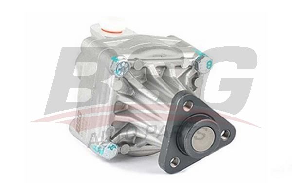 BSG 15355005 Direksiyon Pompası