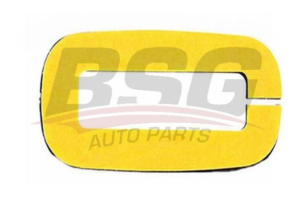 BSG 30995027 Kapı Menteşe Fiberi Arka