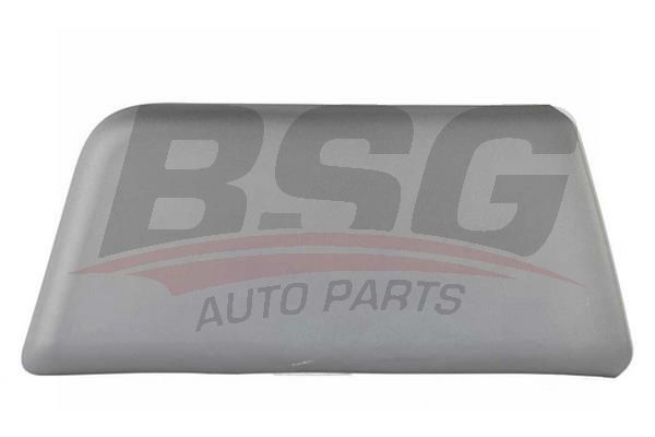 BSG 70975038 Kapı Bandı Ön