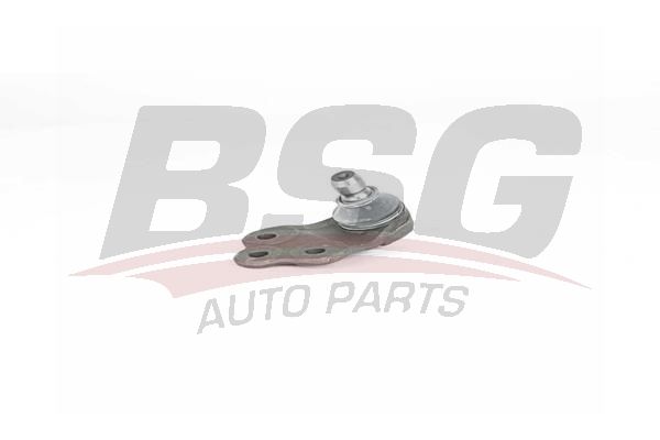 BSG 25310022 Rotil Alt