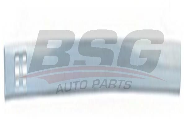 BSG 65925018 Kapı Bandı Ön Sağ