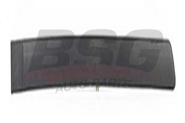 BSG 65925015 Kapı Bandı Arka Sağ - 1. Görsel