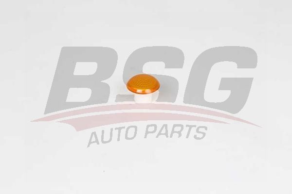 BSG 30810044 Çamurluk Sinyali