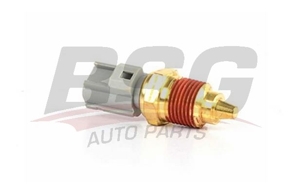 BSG 30840031 Motor Sıcaklık Sensörü