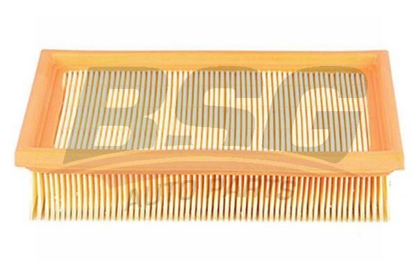 BSG 15135001 Hava Filtresi
