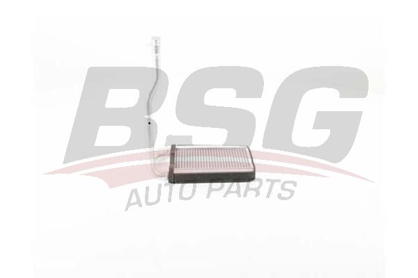 BSG 40530021 Kalorifer Radyatörü