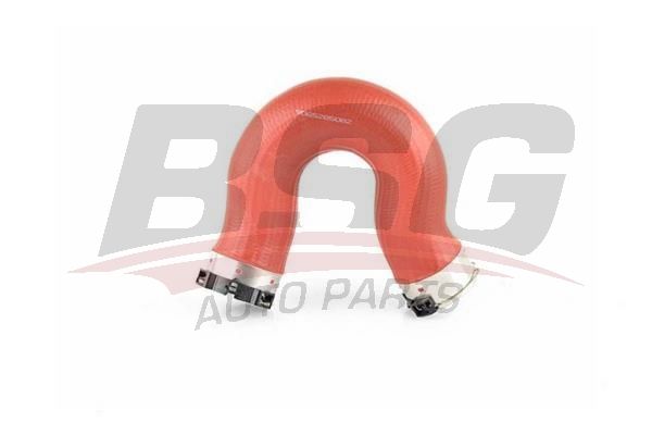 BSG 60720212 Turbo Hortumu
