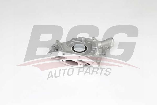 BSG 30101005 Yağ Pompası - . Görsel