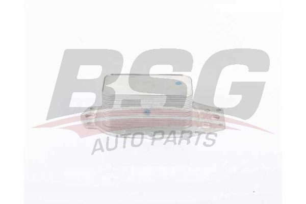 BSG 15506037 Yağ Soğutucusu