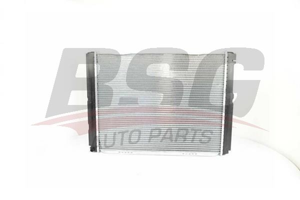 BSG 60520027 Su Radyatörü
