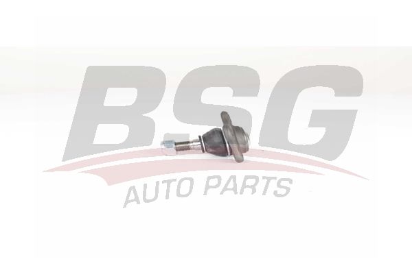 BSG 75310045 Rotil Alt