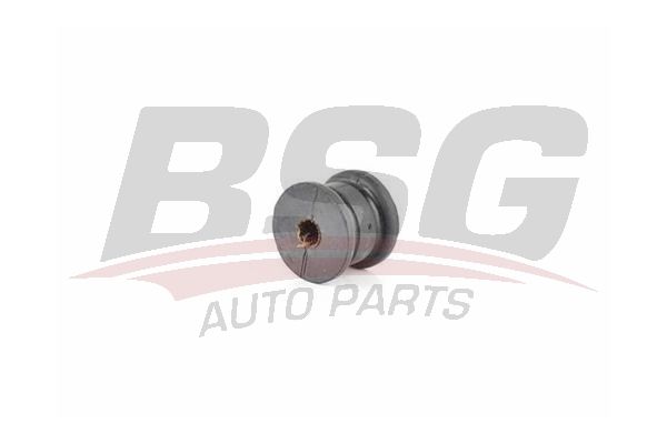 BSG 60700176 Viraj Demir Lastiği Arka