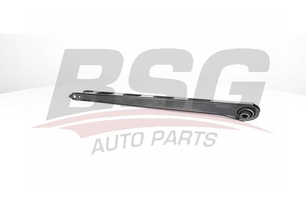 BSG 65315021 Salıncak Arka