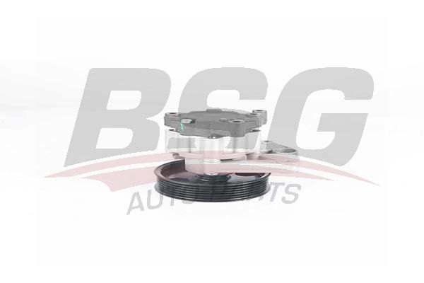 BSG 60355030 Direksiyon Pompası