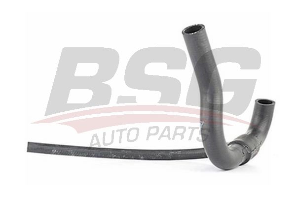 BSG 65720028 Emme Manifold Hortumu