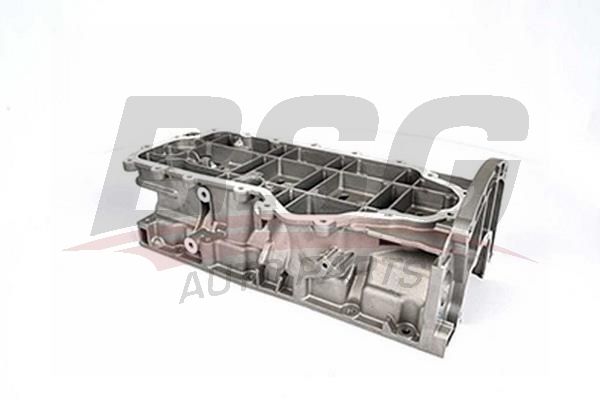 BSG 30160001 Ara Karter