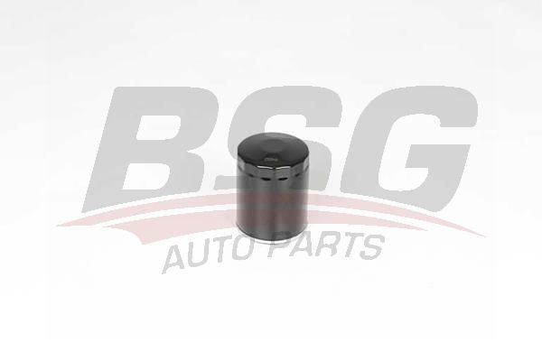 BSG 25140005 Yağ Filtresi - . Görsel